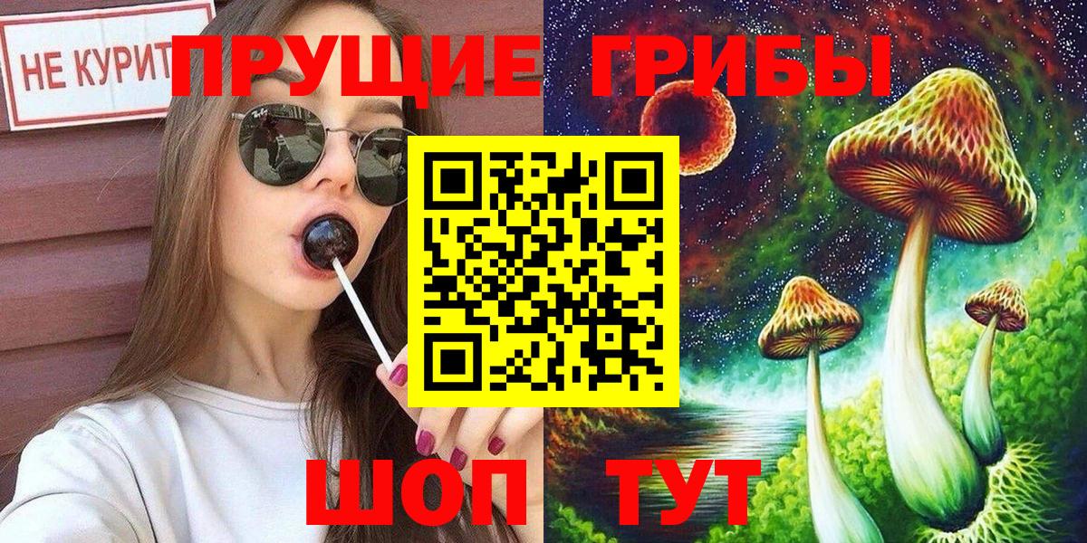 Пушкино  Псилоцибиновые грибы прущие грибы  Вход с VPN 